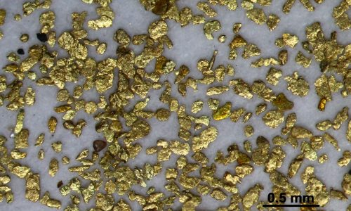 10. Ruatapu_Saw_Mill_Mine_Gold. B_Scope (6)